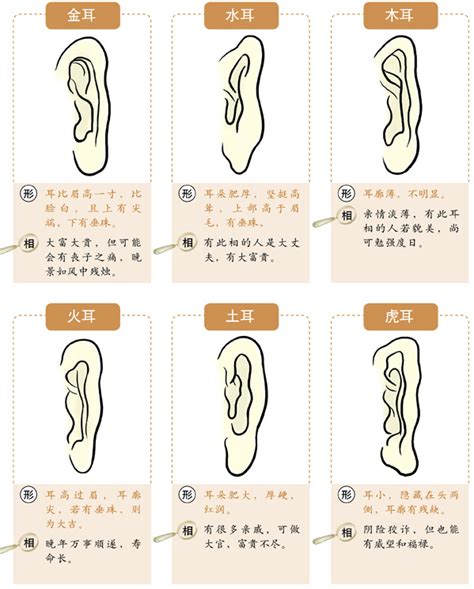 耳廓突出|十六种耳朵面相图文分析三六风水网